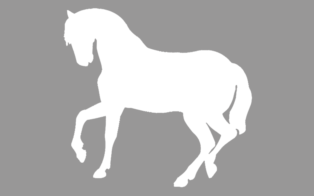 HORSE 4